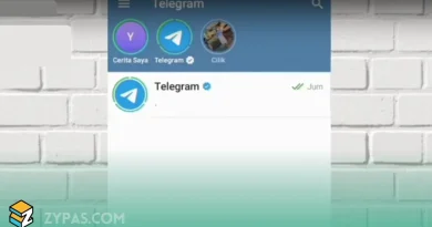 Cara Melihat Cerita Telegram Secara Anonim Tanpa Ketahuan