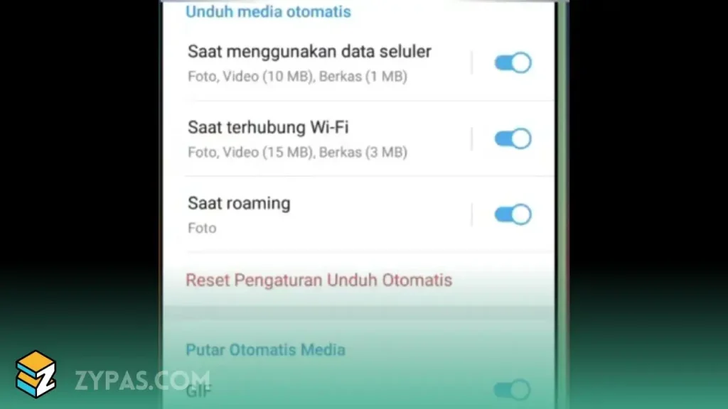 Ternyata Simpel, 2 Cara Mematikan Download Otomatis di Telegram 1 Ternyata Simpel, 2 Cara Mematikan Download Otomatis di Telegram