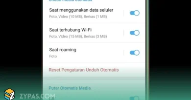 Ternyata Simpel Cara Mematikan Download Otomatis di Telegram