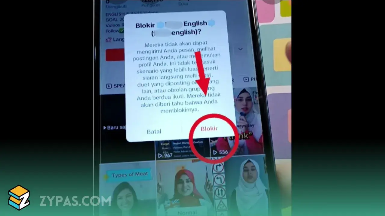 Ga Usah Pusing, Gunakan Cara Blokir Akun TikTok yang Ngeselin Ini